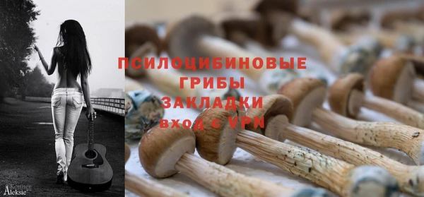шишки Нефтекумск