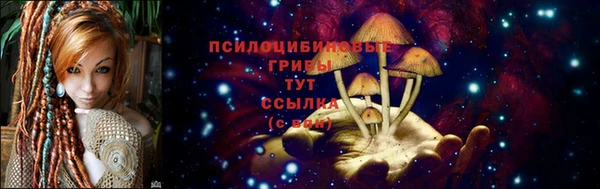 хмурый Нефтегорск