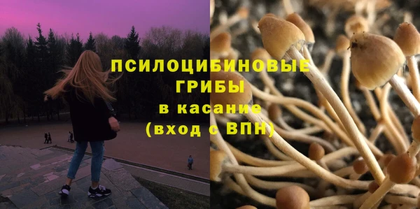 ПСИЛОЦИБИНОВЫЕ ГРИБЫ Богданович