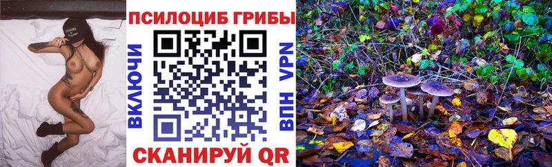 Галлюциногенные грибы MAGIC MUSHROOMS Трёхгорный
